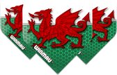 Winmau Mega Standard Wales dartvluchten