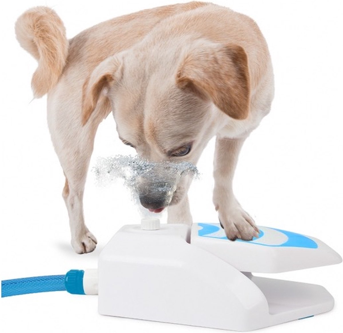 Drinkfontein voor Huisdieren - voor Buiten - Hond - Kat - Huisdieren - Buitenspeelgoed - Hondenspeeltjes - Zomer - Puppy