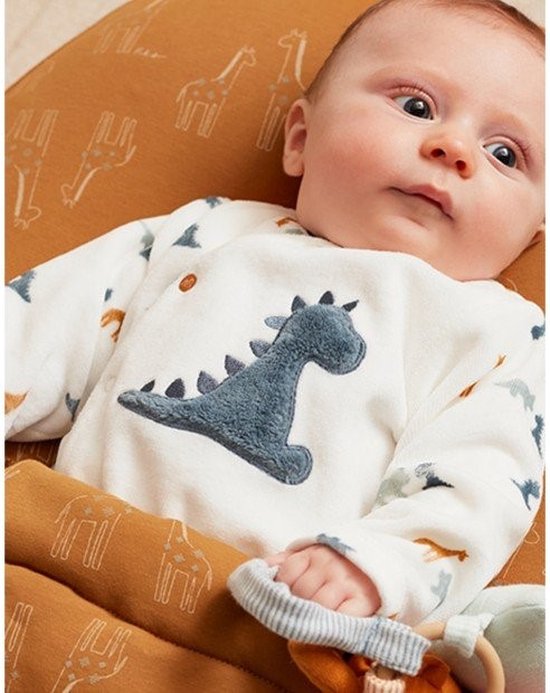 Noukie's - Pyjama - Velours - Dinosaures - 0 mois 50 | bol.com