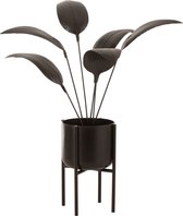 J-Line decoratie Plant - metaal - donkerbruin - large
