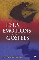 Jesus Emotions In The Gospels
