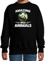 Sweater panda - zwart - kinderen - amazing wild animals - cadeau trui panda / pandaberen liefhebber 14-15 jaar (170/176)