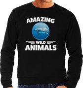 Sweater haai - zwart - heren - amazing wild animals - cadeau trui haai / haaien liefhebber S