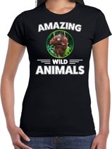 T-shirt aap - zwart - dames - amazing wild animals - cadeau shirt aap / orang oetan apen liefhebber 2XL