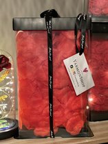 Rode Rozen Beer - Kerstcadeau - Sinterklaas cadeau - Moederdag Cadeau voor haar - Met Luxe Giftbox - Met Led Light - Rozenblaadjes - Valentijnsdag - 25 cm