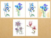 Handmade wenskaarten - serie nr 11 - set van 12 bloemenkaarten - mix eco/wit papier