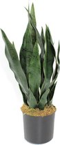 Sansevieria Kunstplant 40cm | Sansevieria Woestijnplant Kunstplant | Kunstplanten voor Binnen | Sansevieria Kleine Kunstplant