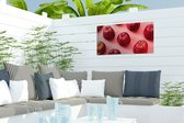 Tuinposter Appel - Rood - Fruit - 60x30 cm - Tuindoek - Buitenposter