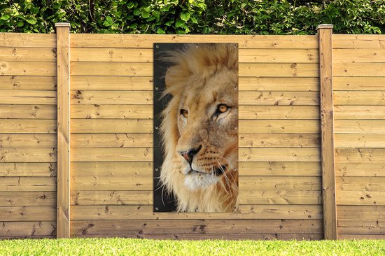 Affiche de clôture Lion - Profil - Chasse - 100x200 cm - Toile de jardin