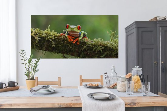 Peinture sur toile Grenouille aux yeux rouges sur une branche couverte - 160x80 cm - Décoration murale