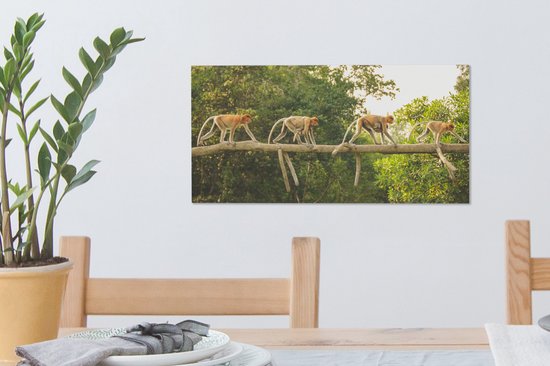 Tableau sur toile Singes marchant sur une branche - 40x20 cm - Décoration murale