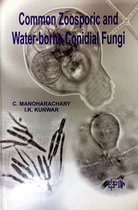 Common Zoosporic and Water-borne Conidial Fungi