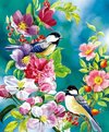 topmo diamond painting birds watercolor