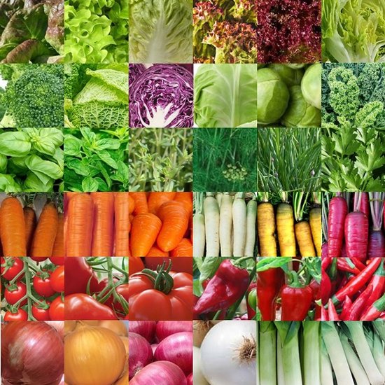 Groentezaden assortiment 36 soorten (sla, kolen, wortels, kruiden, tomaten, paprika, uien, prei) zaadlint
