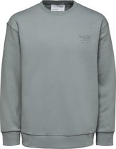 SELECTED HOMME WHITE SLHLOOSEARVID CREW NECK SWEAT W  Trui - Maat L