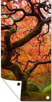 Tuinposter Afbeelding van een Japanse esdoorn - 40x80 cm - Wanddecoratie Buiten - Tuinposter - Tuindoek - Schuttingposter - Tuinschilderij