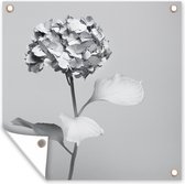 Tuinposters Zwart-wit hortensia - 50x50 cm - Tuindoek - Buitenposter