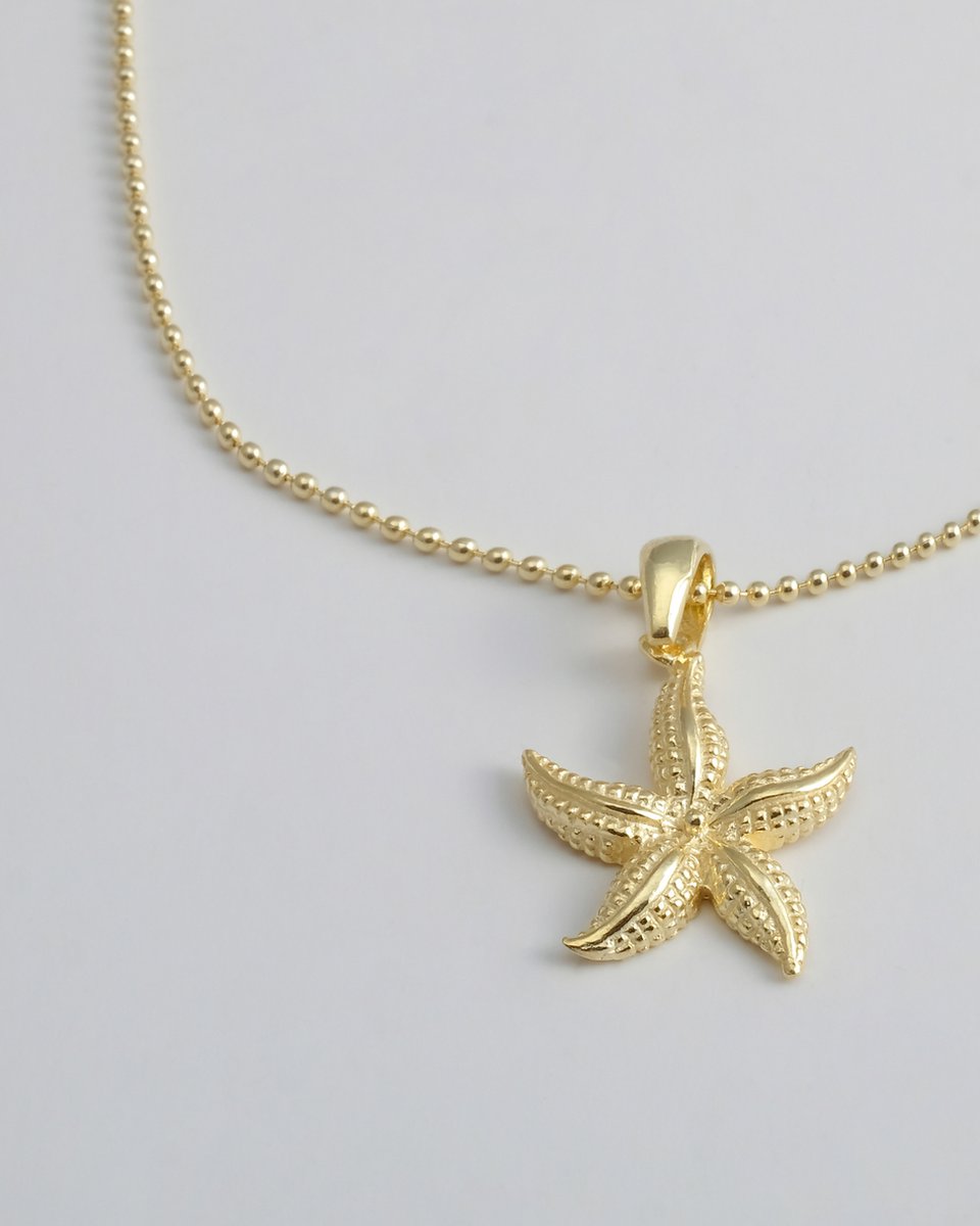2bs jewelry zeester dames ketting, 925 zilveren starfish dames ketting, 14k gold plated, handmade, ketting met hanger