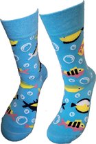 Verjaardag cadeau - Grappige sokken - Tropische vissen sokken - Leuke sokken - Vrolijke sokken – Valentijn Cadeau - Luckyday Socks - Cadeau sokken - Socks waar je Happy van wordt –