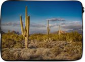 Laptophoes 14 inch - Cactus bij zonsondergang in Arizona - Laptop sleeve - Binnenmaat 34x23,5 cm - Zwarte achterkant