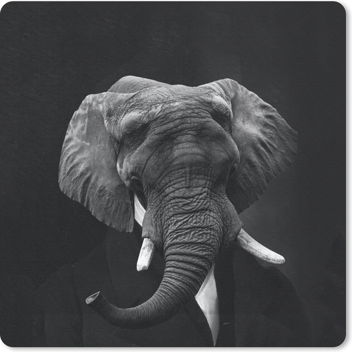 Muismat 20x20 cm - Mousepad Schilderij - Afrikaanse olifant - Zwart - Wit - Muismatten