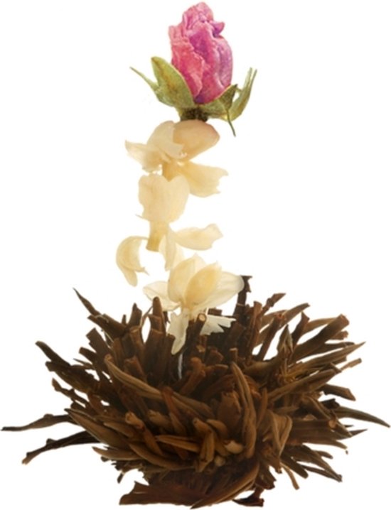 Théière et fleurs de thé blanc et noir Creano coffret découverte