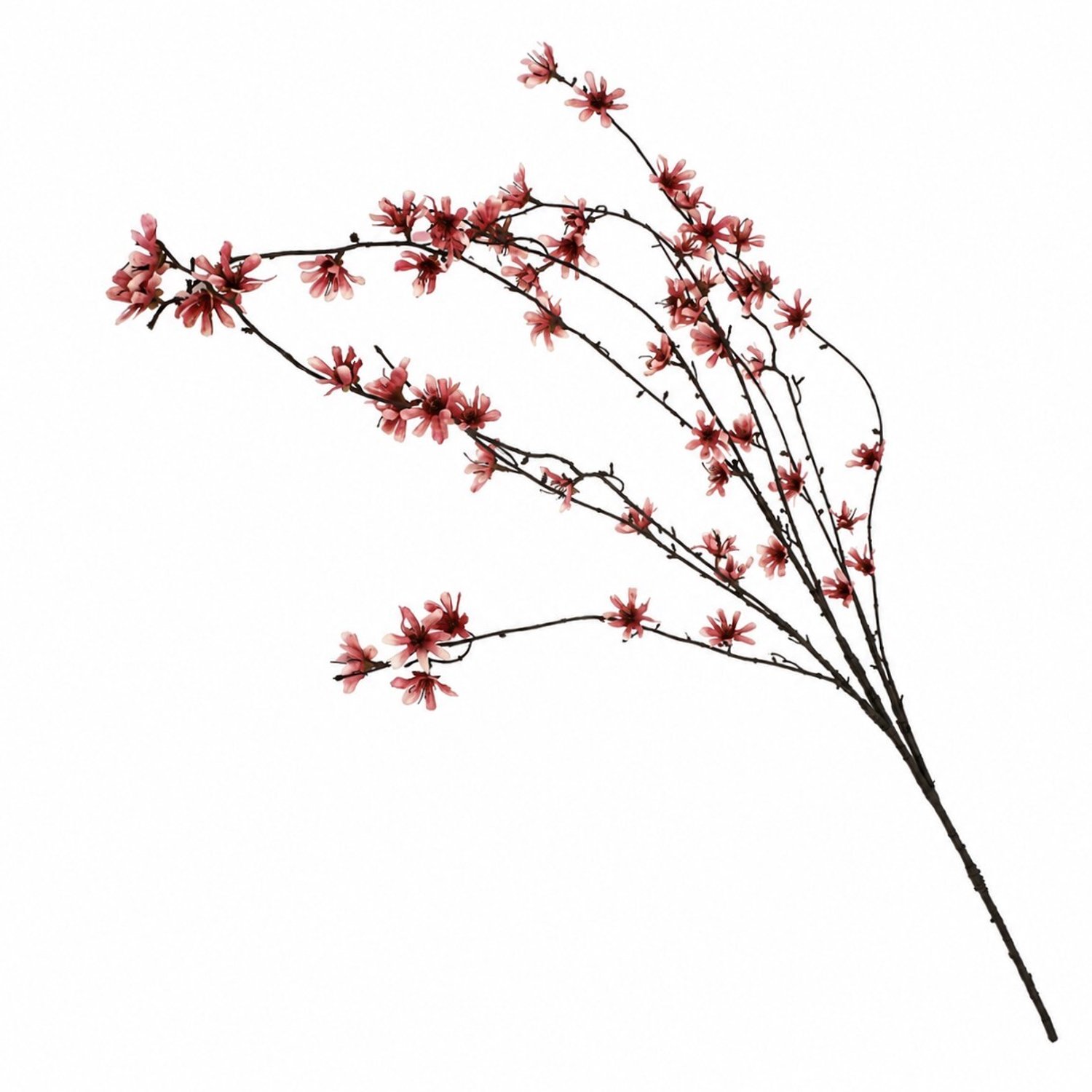 Pruimenbloesemtak 124cm roze