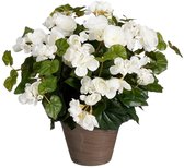 Plante artificielle de bégonia blanc en fleurs dans un pot brun avec des feuilles vert foncé.