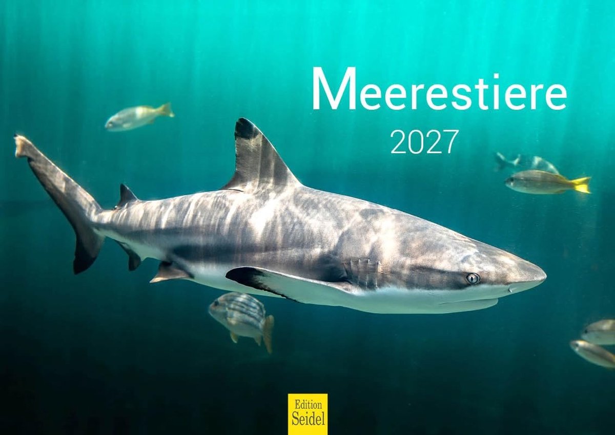 Elzusha - Wandkalender zeedieren 2027 - A4 formaat