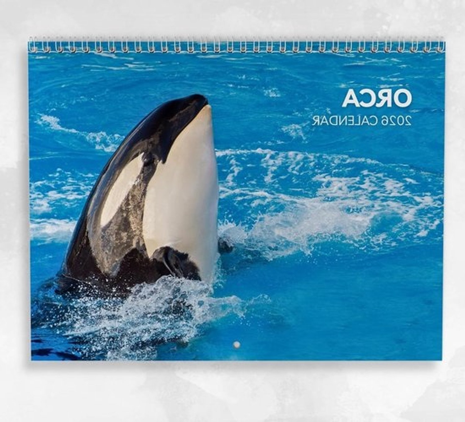 Orka Kalender - Kalender met walvissen - Maandplanning - Ruimte voor uitgebreide aantekeningen - Open formaat A3 - Kleurendruk
