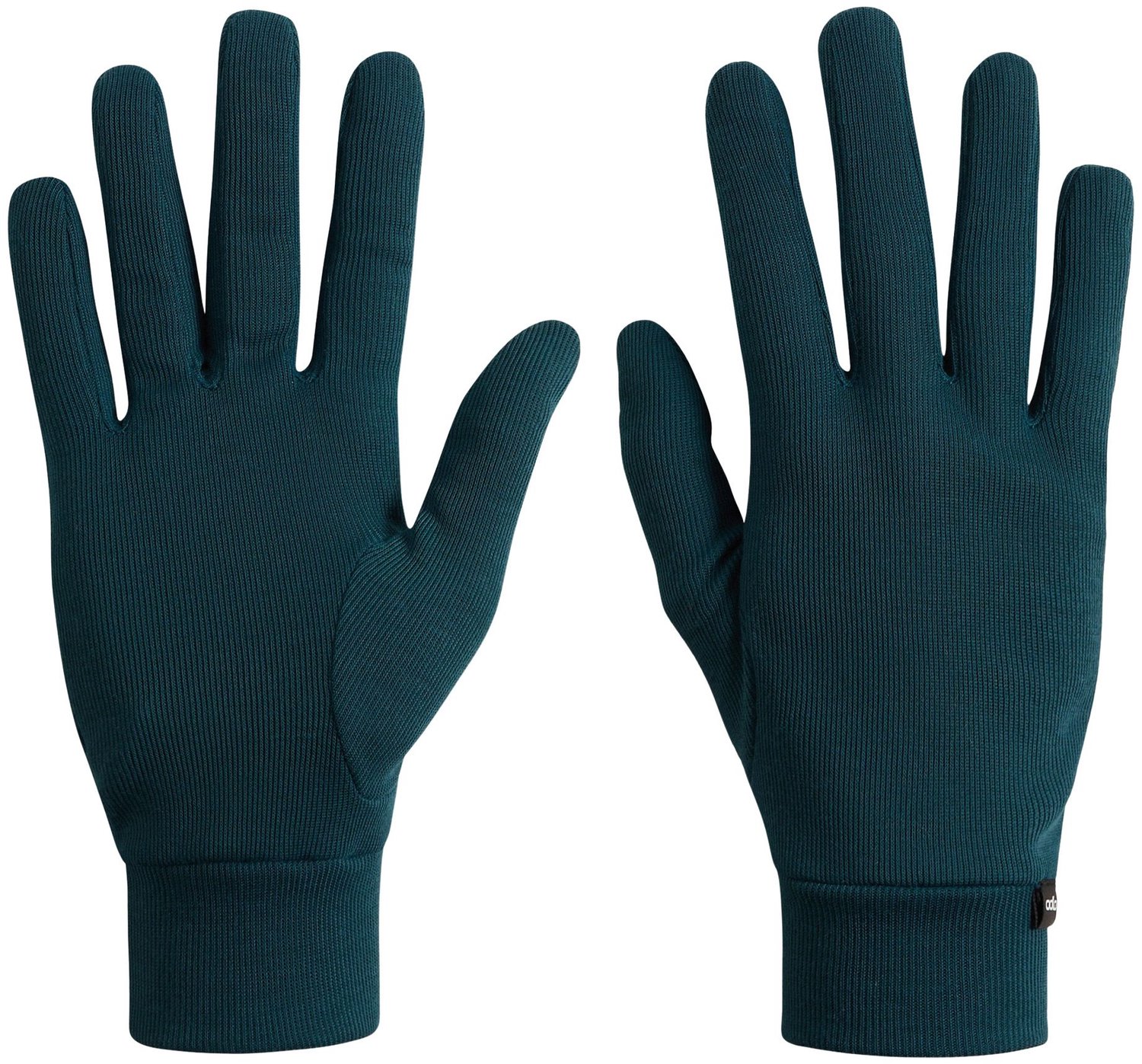 Odlo Active Warm Eco Handschoenen Senior Blauw