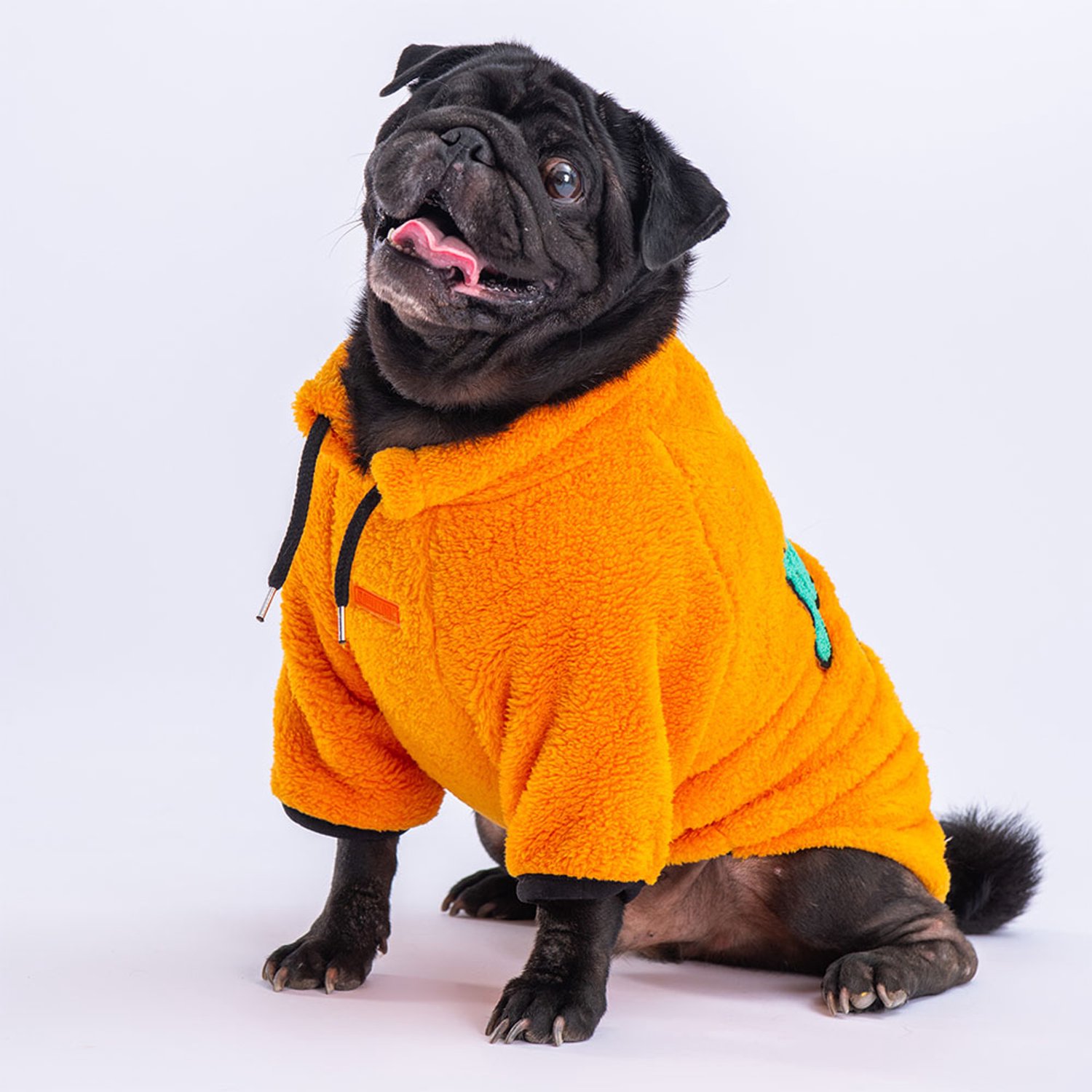 Pawstar Just Sweat - Hondentrui - Geel - XL