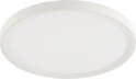 Ronde, witte plafondlamp met een witte rand en een matglazen diffuser.
