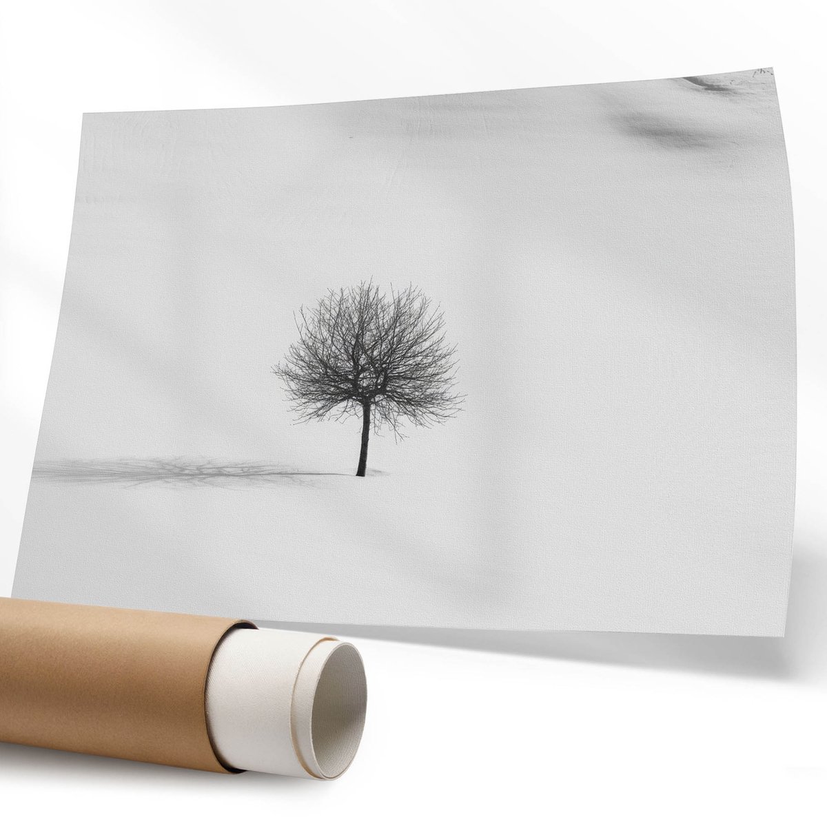 Coloray Polycanvas Wandposter - Galopperende Paarden, Fotografie - 594 x 840 mm - Wit Design - Rechthoek - Canvasposter - Woonkamer - Klassiek