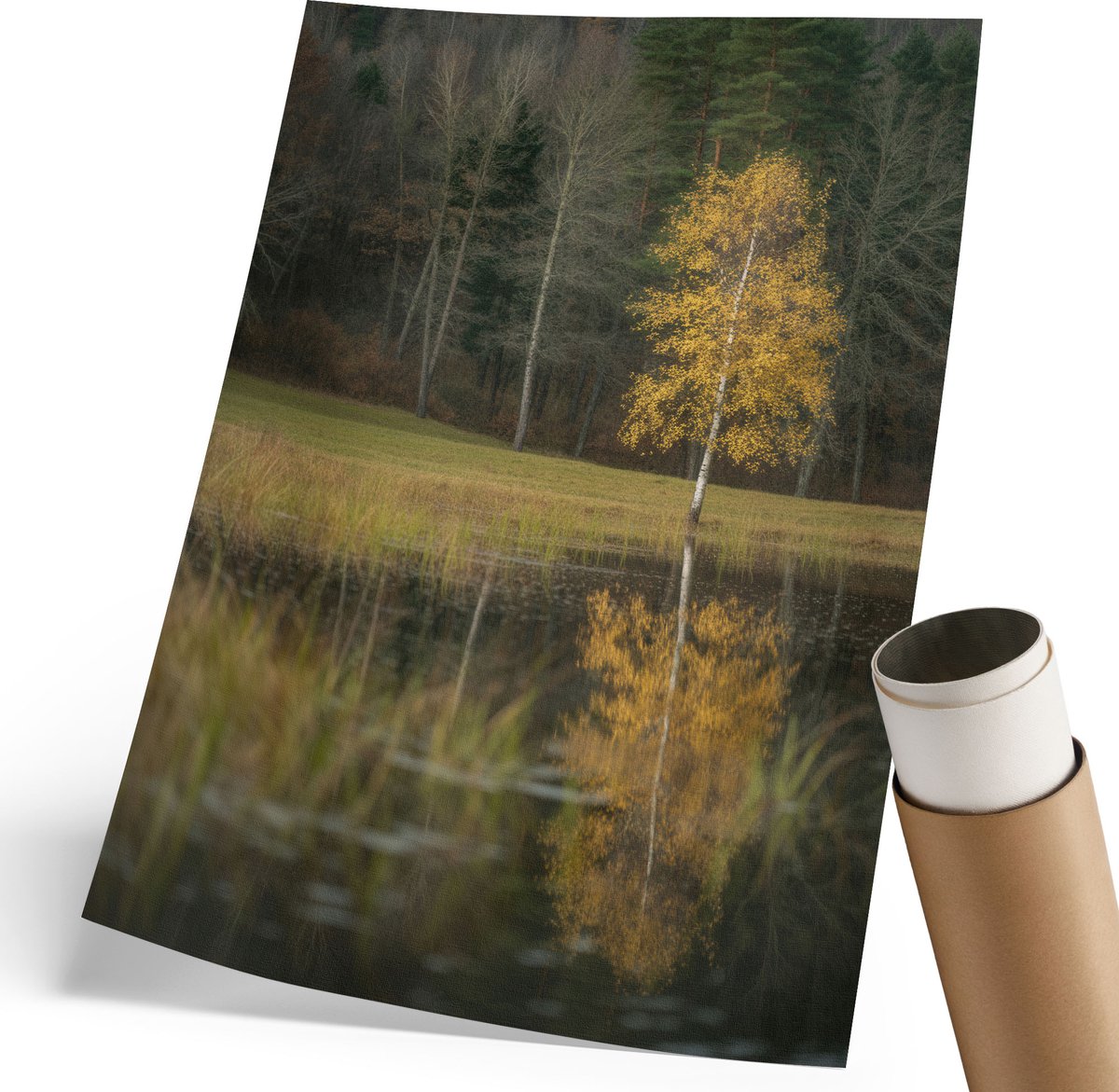 Coloray Polycanvas Wandposter - Herfstlandschap, Fotografie - 210 x 297 mm - Groen Wandposter - Rechthoek - Muurkunst - Woonkamer, Slaapkamer, Kantoor - Klassiek