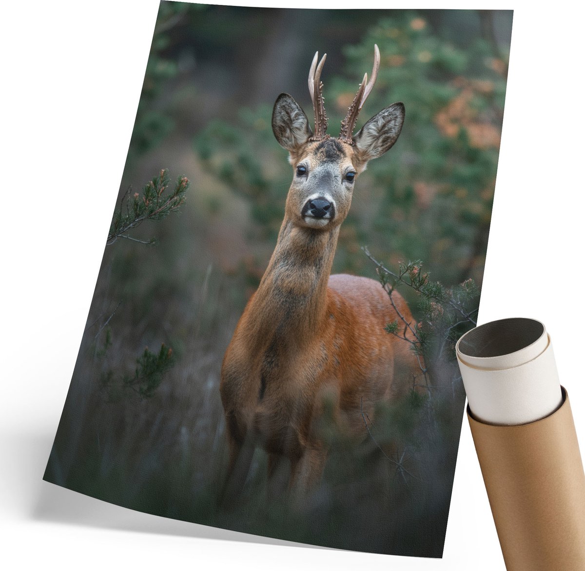 Coloray Polycanvas Wandposter - Herten In Het Bos, Fotografie - 210 x 297 mm - Groen Wanddecoratie - Rechthoek - Muurkunst - Woonkamer, Slaapkamer, Kantoor - Klassiek