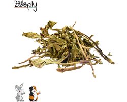 Zooply Brede Weegbree - Kruiden & Snacks - 100% natuurlijk - Voor konijnen & cavia's - 300 gram