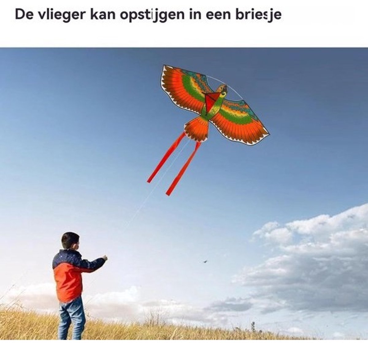 Adelaarsvlieger - Vlieger Speelgoed - Buiten Spelen - Aerodynamisch Ontwerp - 113x55 cm - Multicolor