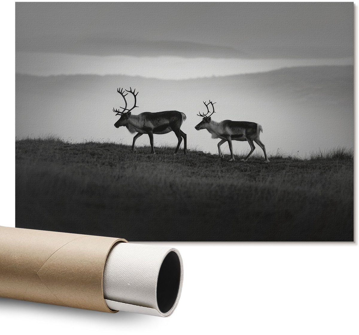Coloray Polycanvas Wandposter - Paardenportret, Fotografie - A1 - Bruin Kunst - Rechthoek - Wandkunstwerk - Slaapkamer - Klassiek