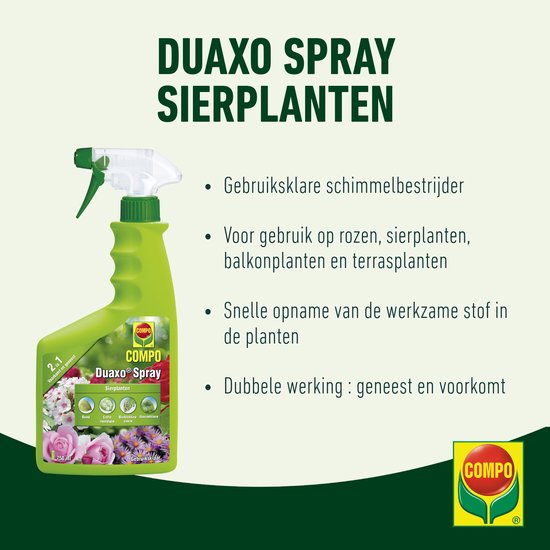 COMPO Duaxo Spray Rozen - tegen ziektes op rozen en andere sierplanten - geneest en voorkomt - spray 750 ml van Merkloos	 — afbeelding 2