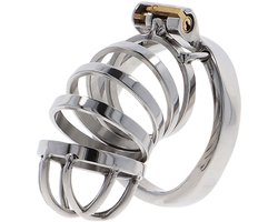 Hidden Desire Kuisheidskooien Metaal - Chastity Cock Cage Metal