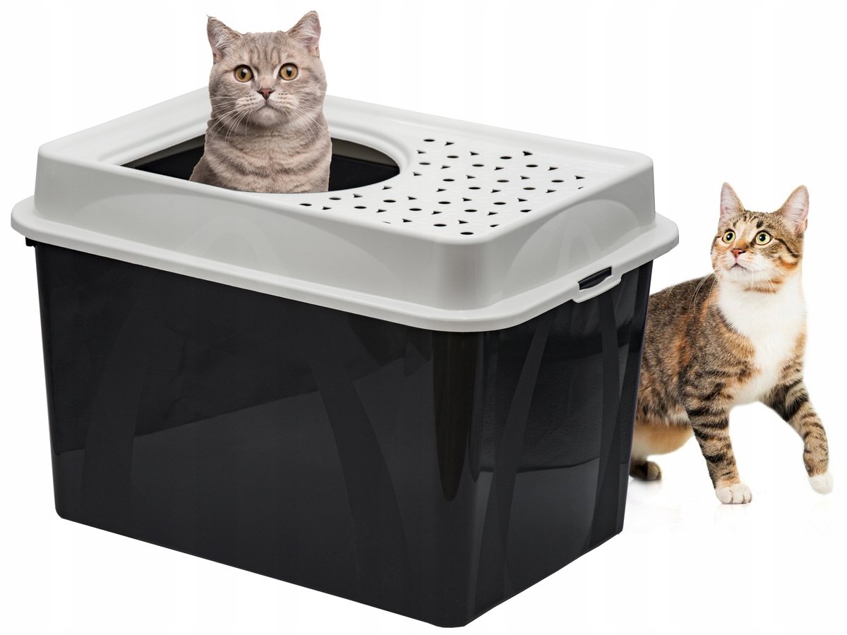 Rotho Berty Gesloten Kattenbak met Top-Entry - Ruim & Gemakkelijk Schoon te Maken