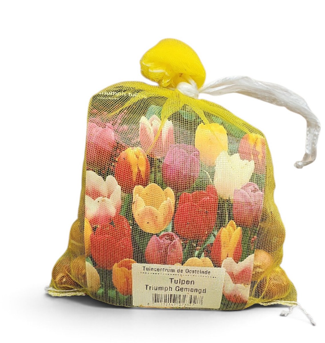 Tulpenbollen triumph 300 bollen