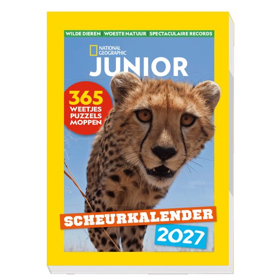 Gros plan d'un guépard la bouche ouverte, Calendrier à effeuiller National Geographic Junior 2027