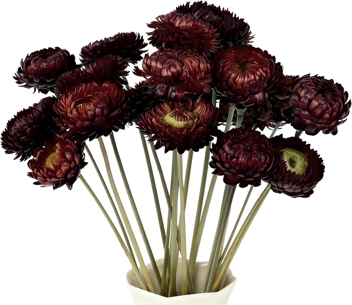 Decoratieve Gedroogde Bloemen Set van 20, Madeliefjes voor Vazen, Boho DIY Knutselen en Huisdecoratie