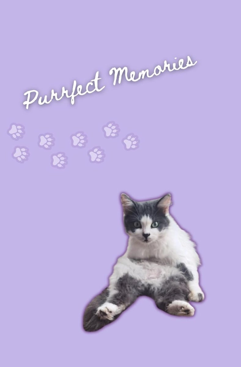 Lavender Cat Memories: Klein esthetisch dagboek, 5x8 minimalistisch ongevoerd notitieboekje met schattige - ShopVlot