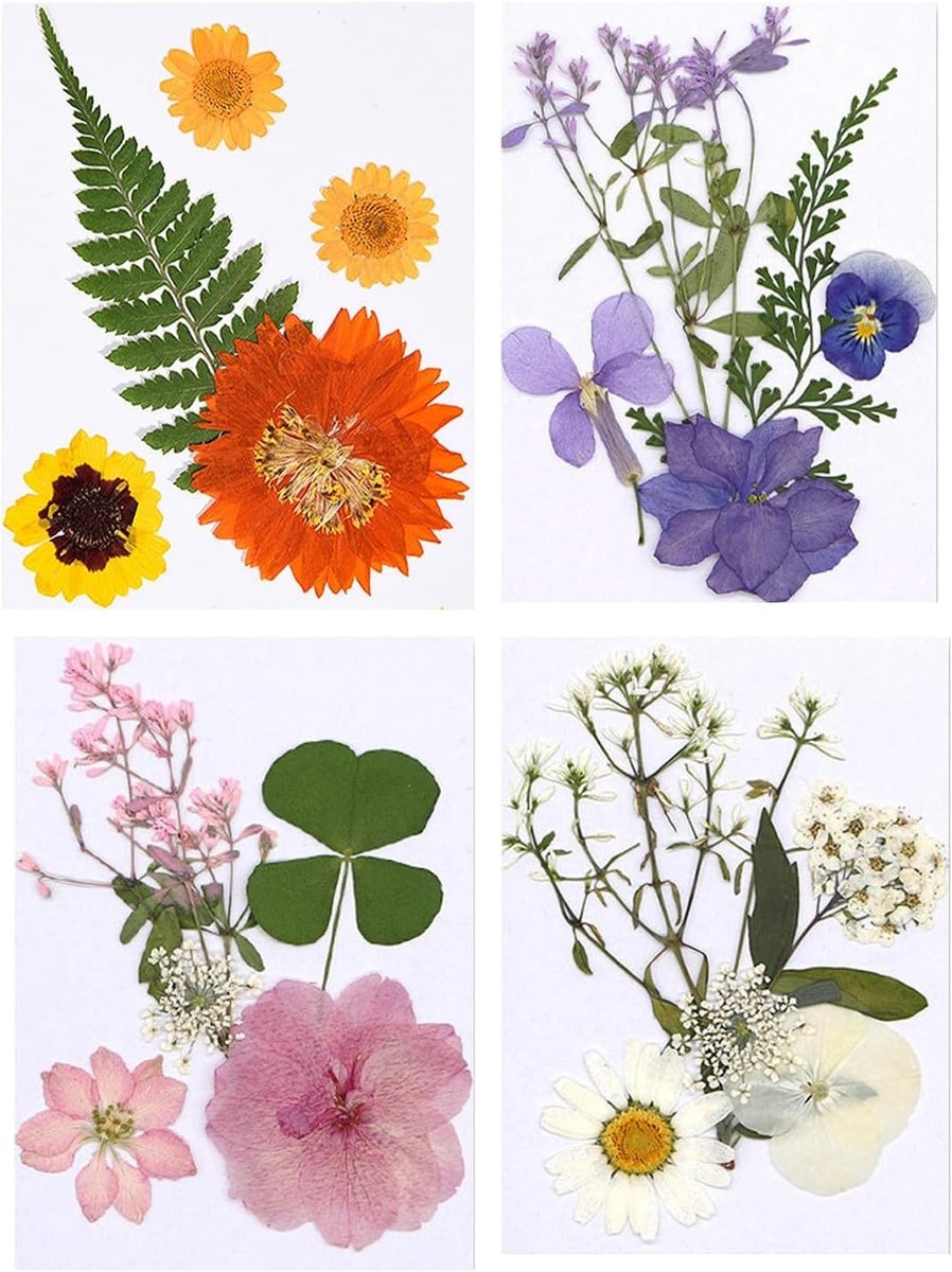 Drog bloemen voor epoxyhars - Natuurlijke gedroogde bloemen voor DIY projecten en scrapbooking