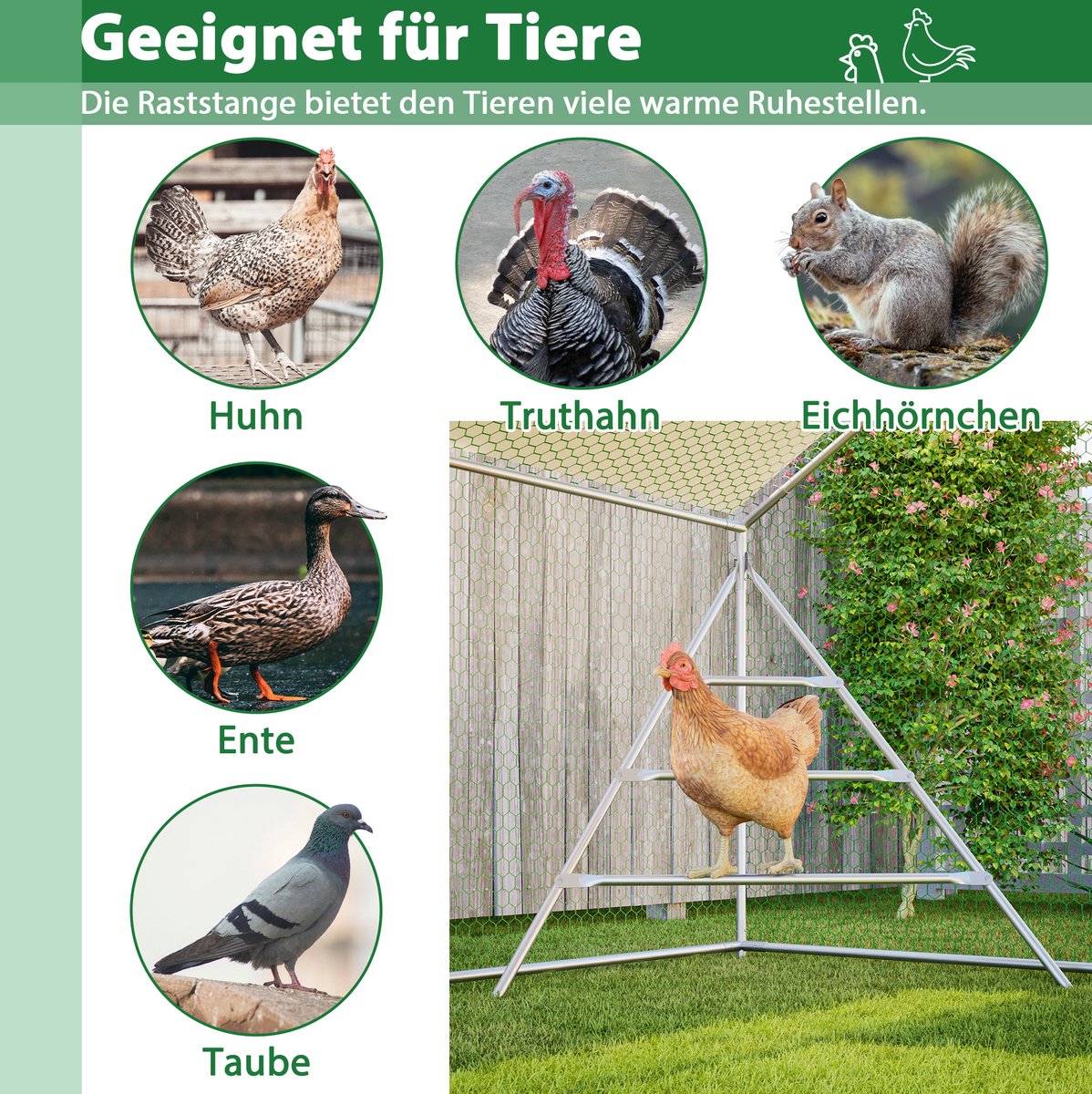 Hok Volière 3x6 M – Versterkte Metalen Constructie – 303x600x200 Cm – Metaal – Grijs – Voor Kippen En Ander Pluimvee – Met Klimrek
