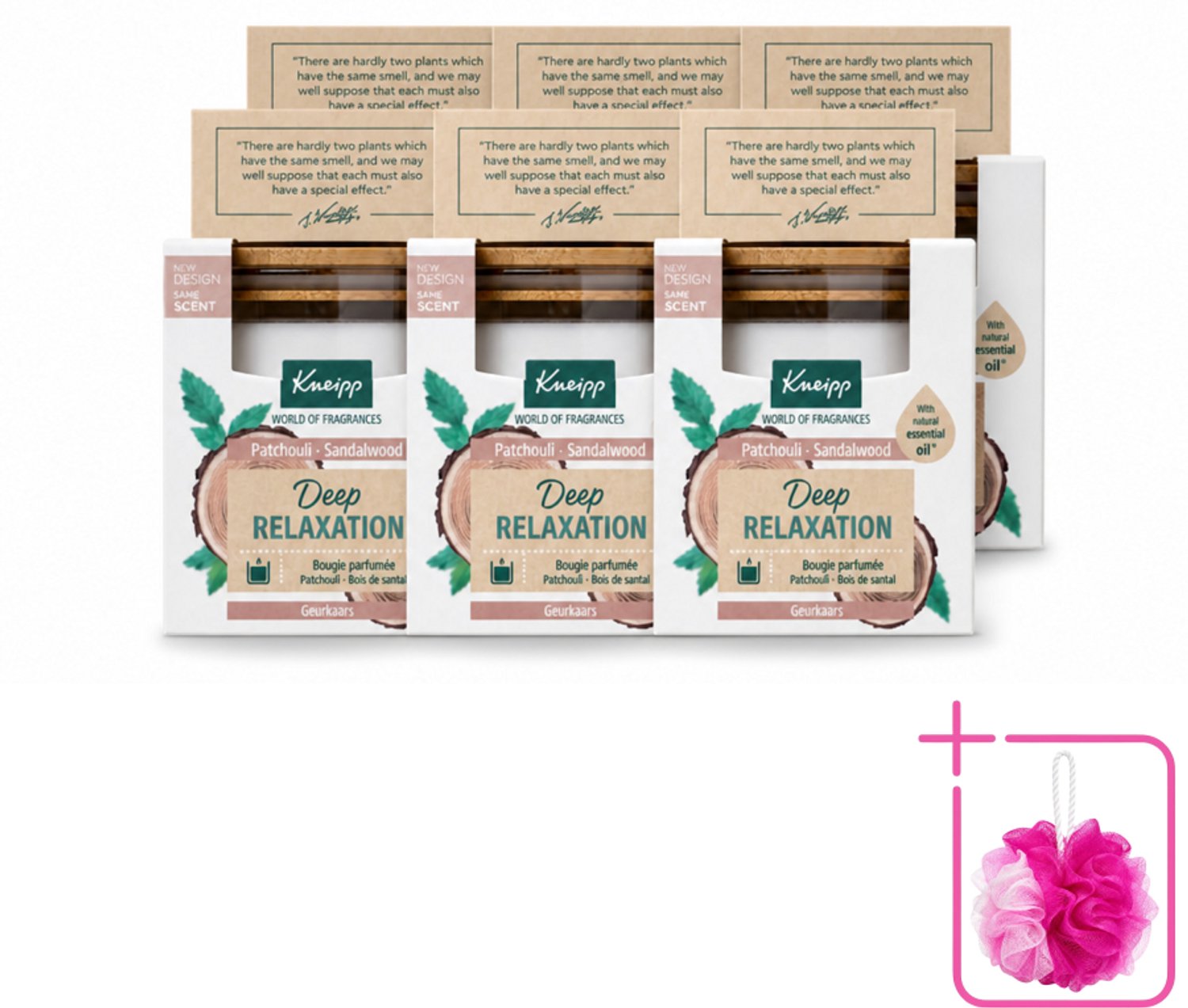 6 x Kneipp - Geurkaars - Deep Relaxation - Sandelhout & Patchouli - 20 branduren - Bulkverpakking - Geurkaars - Douchemop - Ontspanning