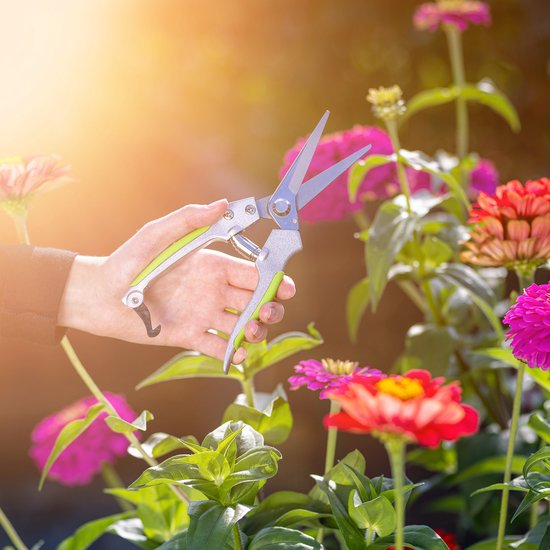 KADAX rozenschaar van koolstofstaal, snoeischaar, precisietuinschaar met 65 mm slank blad, bloemenschaar, plantenschaar met antisliphandgreep, gewasschaar van KADAX — afbeelding 4